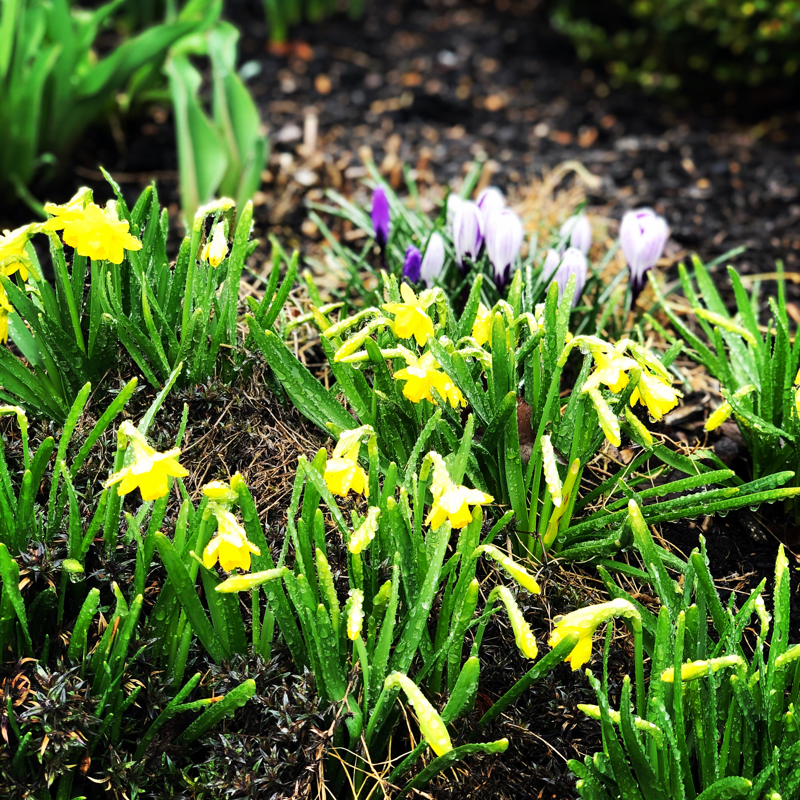 620D0501-F31F-4888-9E14-A7F7BEC26E21